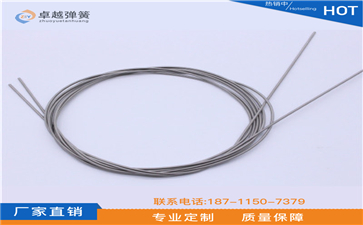 醫(yī)療導(dǎo)絲彈簧廠家